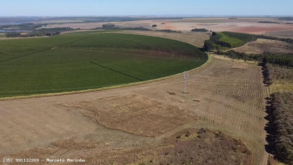 Chácara à venda, 1000m² - Foto 18