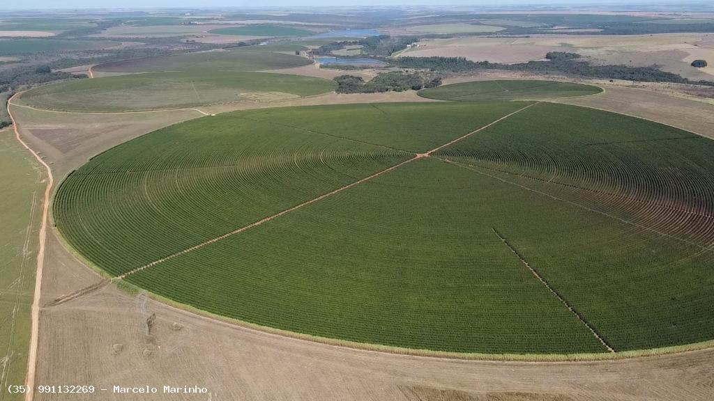 Chácara à venda, 1000m² - Foto 21