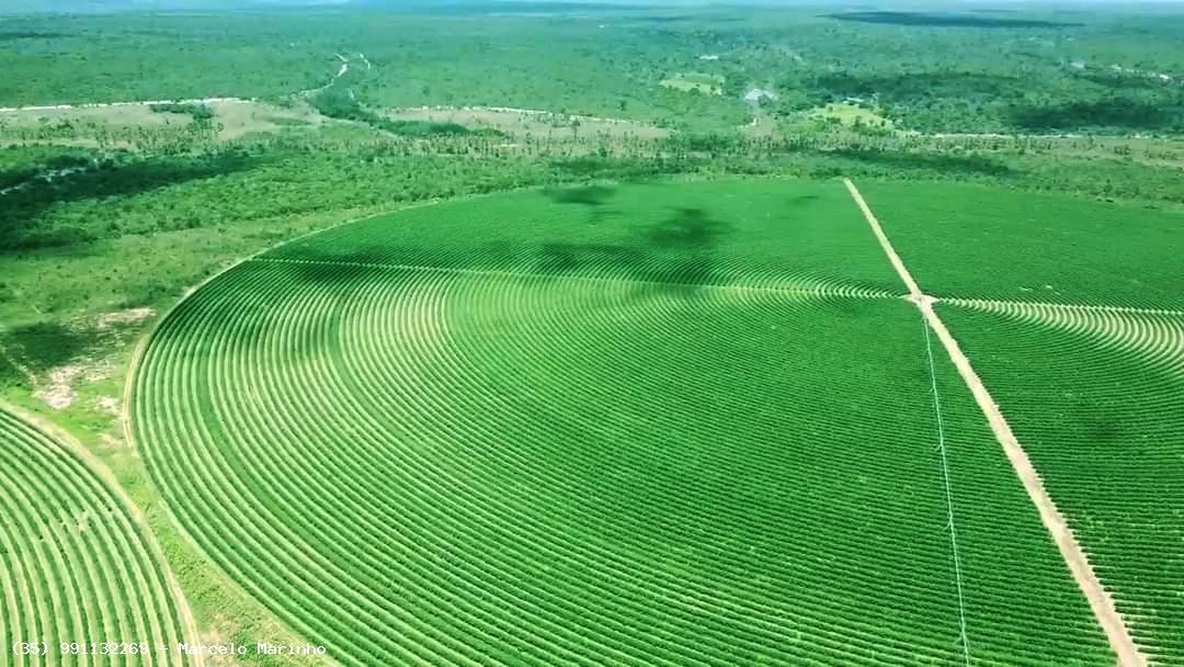 Chácara à venda, 1044m² - Foto 3