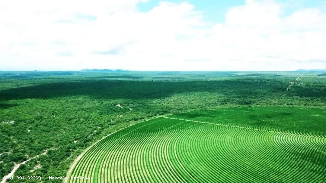 Chácara à venda, 1044m² - Foto 5