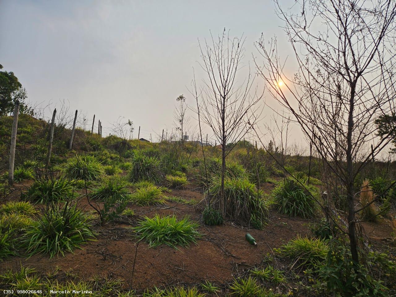 Terreno à venda - Foto 4