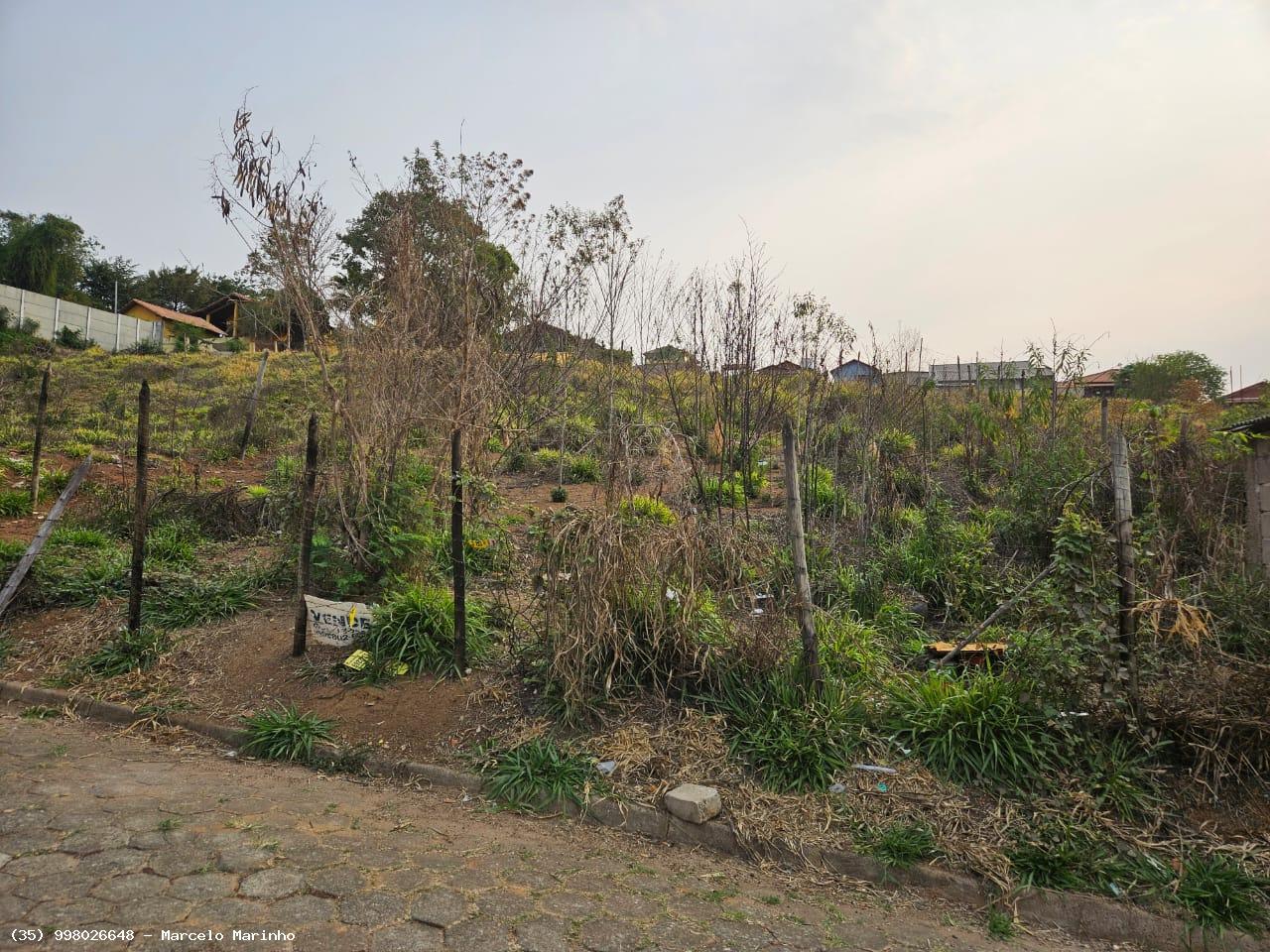 Terreno à venda - Foto 2