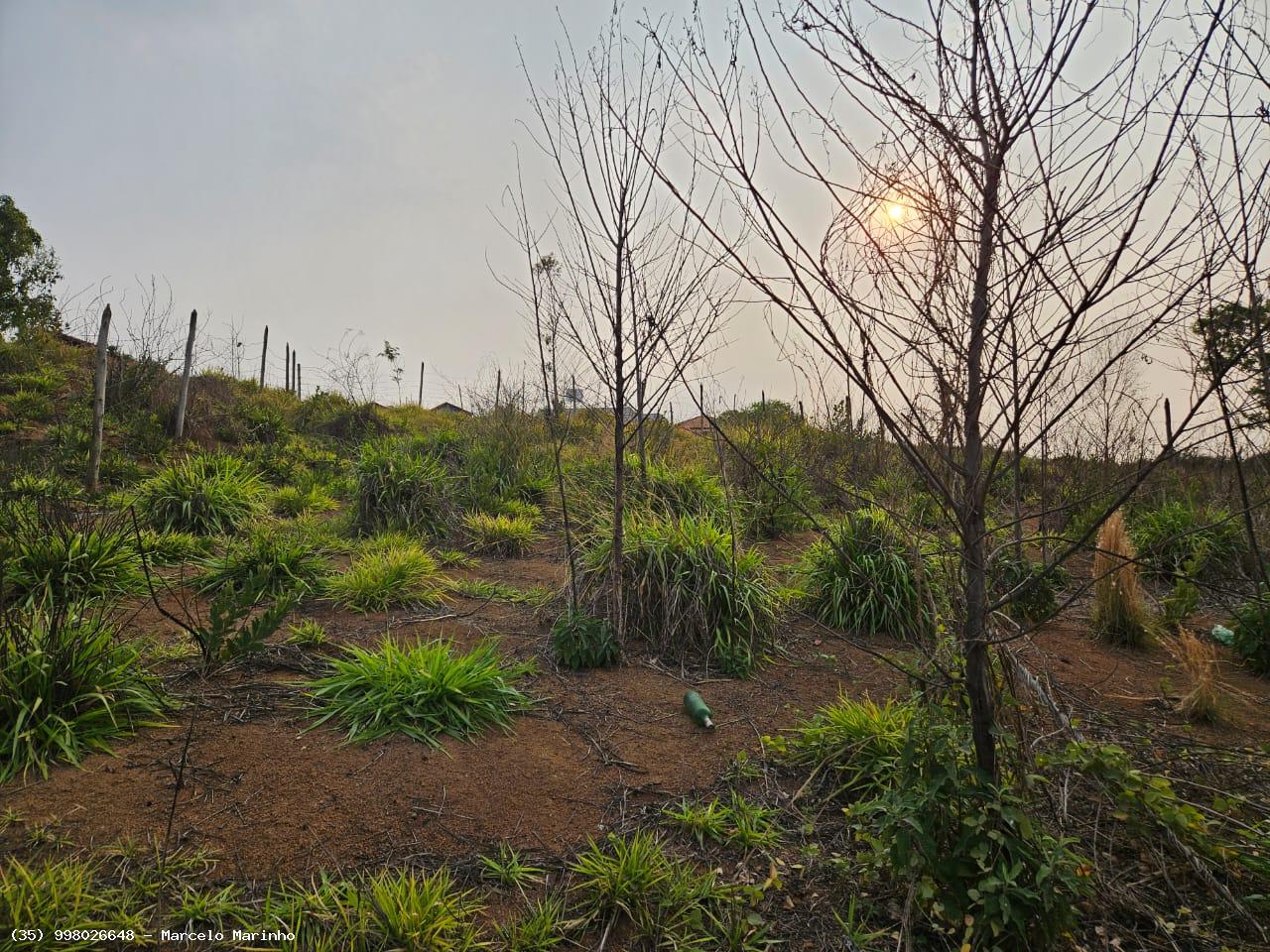 Terreno à venda - Foto 5